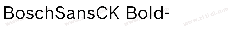 BoschSansCK Bold字体转换